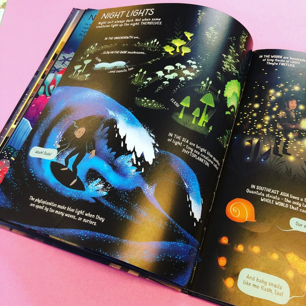 The Usborne Book of Night Time review, usborne books, tidy books, kids book review, recommended kids books reading, usborne book of night time
