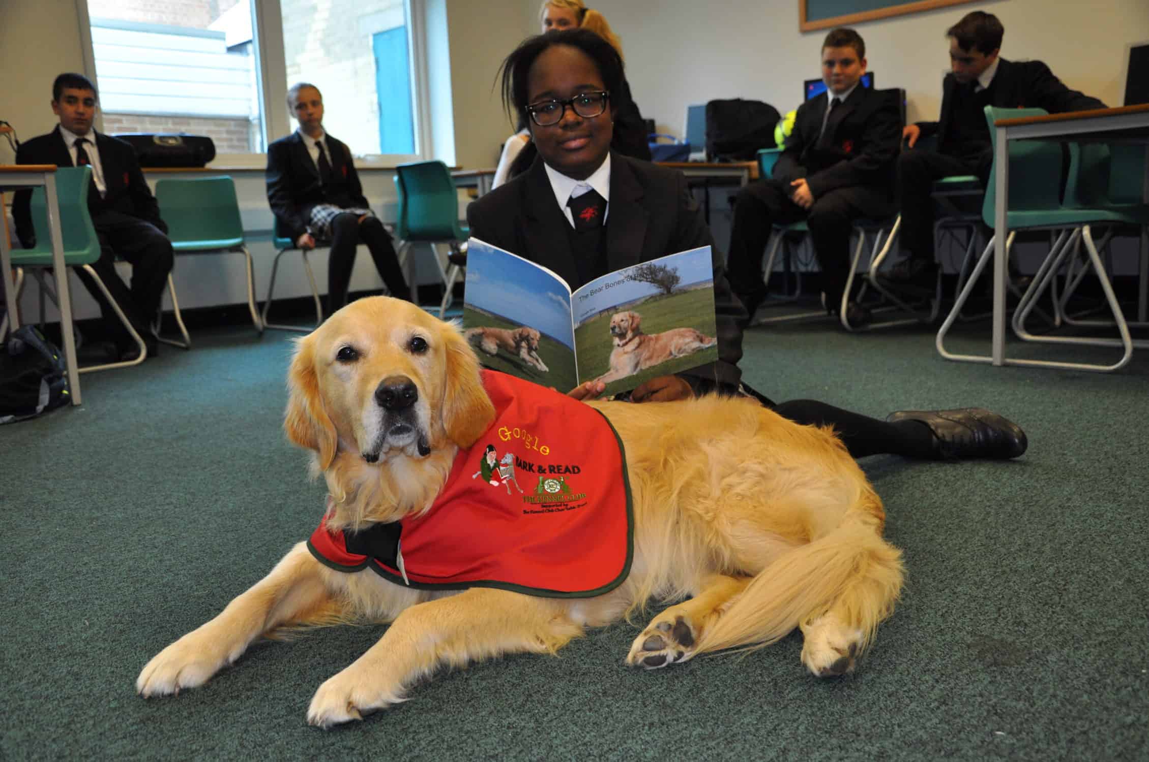 When kids read to dogs their reading and confidence is given a boost. The Kennel Club explains why they train dogs to read in schools to improve literacy programs.